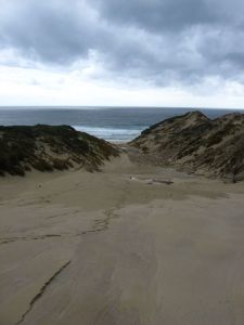 Looking down the sand dune